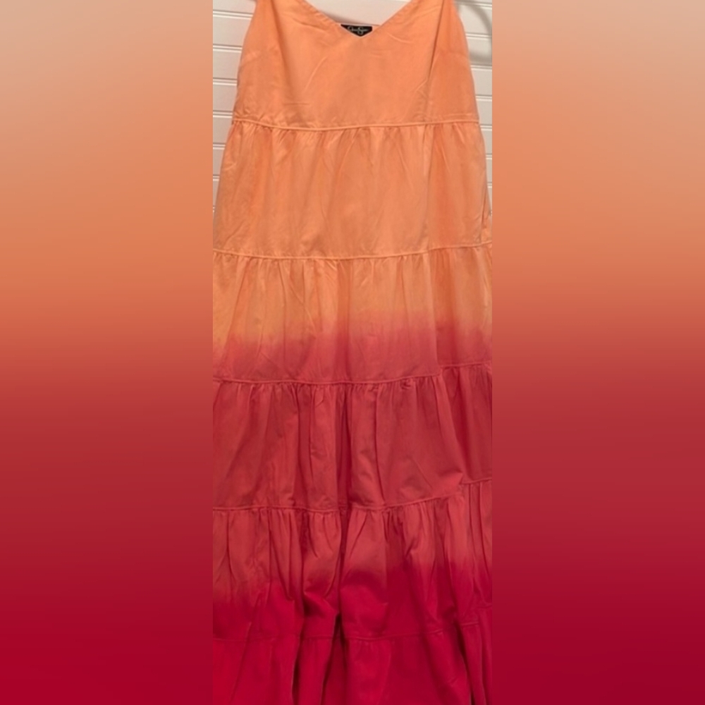 Jennifer Simpson Ombre Maxi Dress Size Large